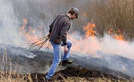 Ситуация с лесными пожарами в РФ не имеет аналогов за последние 30 лет. Фото: РИА Новости