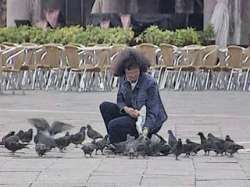 Знаменитая традиция кормить голубей на площади Сан-Марко в Венеции уходит в прошлое. Фото: Вести.Ru