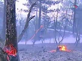 Лесные пожары в Свердловской области побили рекорд 10-летней давности. Фото: Вести.Ru