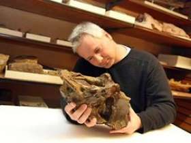 Американские ученые изучили найденные в Нигере останки огромных динозавров. Фото: РИА Новости