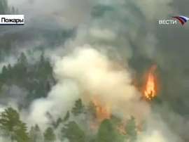 Площадь лесных пожаров в Туве сократилась. Фото: Вести.Ru