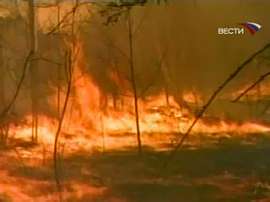 На юго-востоке Забайкалья бушуют степные пожары. Фото: Вести.Ru