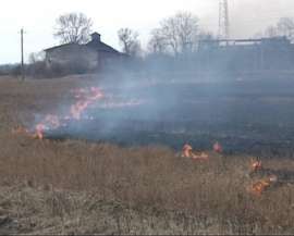 &quot;Травяные&quot; пожары подбираются к лесам Калининградской области. Фото: Вести.Ru