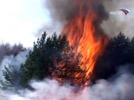 В Хабаровском крае горит боле полутора тысяч гектаров тайги. Фото: Вести.Ru