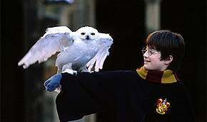 Фанаты Гарри Поттера изводят британских сов. Фото: MIGnews.com