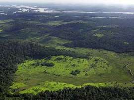 Леса Амазонки, часть из которых будет вырублена под поля. Фото с сайта thewe.cc
