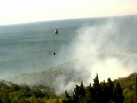 Пожары в Крыму уничтожили реликтовый лес. Фото: Вести.Ru