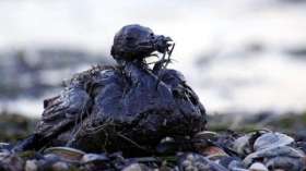 С места разлива нефти в Коми вывозят загрязненный грунт. Фото: РИА Новости