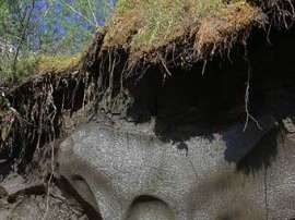 Серая и гладкая поверхность – это не камень. Так выглядит древний лед. Фото с сайта ualberta.ca
