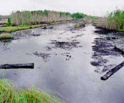 Разлив нефти. Фото: www.earthnews.ru