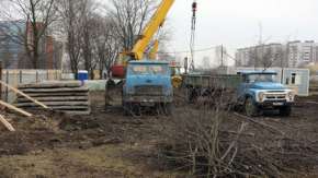 Незаконная вырубка деревьев в Краснодаре нанесла ущерб в 17,5 млн руб. Фото: www.novayagazeta.spb.ru