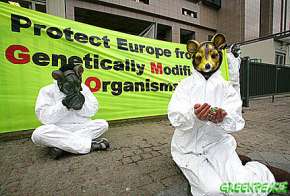 Активисты Гринпис в акции против ГМО у здания Совета министров в Брюсселе, где чиновники в это время обсуждают европейскую политику в отношении генетически измененных организмов. Фото: Greenpeace