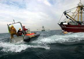 «Гринпис»: Норвегия игнорирует пиратский промысел в Баренцевом море. Фото: www.greenpeace.org.uk