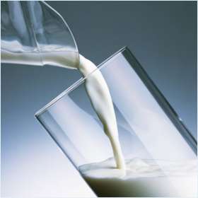 Парное молоко опасно для здоровья из-за высокого содержания бактерий, утверждают учёные. Фото: www.american-clinic.com