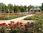 Ботанический сад Таврического университета может стать заповедником государственного значения. Фото: РИА &quot;Новый Регион&quot;