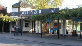 Лондонский зоопарк предлагает дарить близким опекунство над животными. Фото: www.londonlogue.com