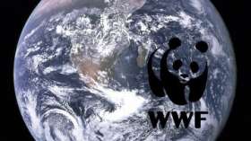WWF. Коллаж РИА Новости