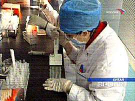 В Китае ещё одна женщина умерла от птичьего гриппа. Фото: Вести.Ru