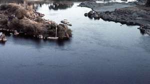 Загрязнение моря у дельты Нила &quot;кормит&quot; миллионы египтян. Фото: РИА Новости