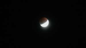 Началось полутеневое лунное затмение. Фото: РИА Новости