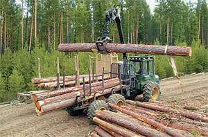Вырубка леса. Архив http://karelia.allnw.ru