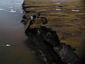 Результат эрозии побережья Аляски. Фото с сайта usgs.gov