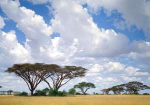 Природа Африки. Фото: http://www.1-travel.ru