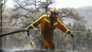 Власти Австралии ожидают усиления лесных пожаров из-за жары и ветров. Фото: АМИ-ТАСС