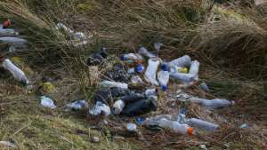 Британский лабрадор помог &quot;утилизировать&quot; 26 тысяч пластиковых бутылок. Фото: РИА Новости