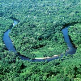 Бразильские ученые предупреждают, что Амазонские леса рискуют превратиться в саванну. Фото: АМИ-ТАСС