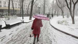 Большинство россиян верят в точность метеорологических прогнозов. Фото: РИА Новости