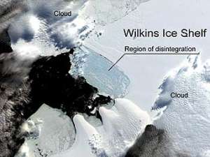 Изображение шельфового ледника Уилкинса, сделанные с помощью спутника. Изображение NSIDC/NASA/University of Colorado 
