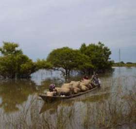 Наводнение в Африке. Фото: http://www.vokrugsveta.ru