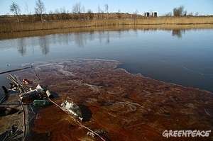 Последствия сброса нефтепродуктов на реке Красненькой  Фото: greenpeace.org