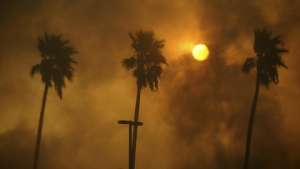 В окрестностях Лос-Анджелеса горят лесные массивы. Фото: РИА Новости