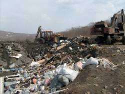 В Приморье отходы станут дополнительным источником сырья. Фото: Дейта.Ru
