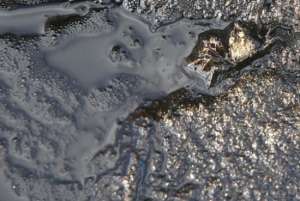 Нефтяное пятно. Фото: http://novosti.err.ee/