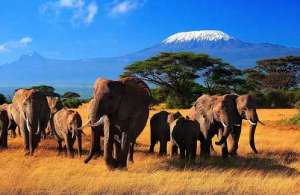 Кения. Фото: http://feerie.com.ua