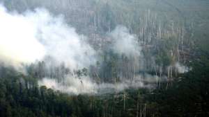 Число лесных пожаров в Хабаровском крае увеличилось за неделю вдвое. Фото: РИА Новости