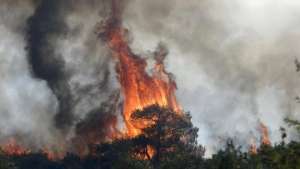 Три лесных пожара распространяются на греческом острове Закинф. Фото: РИА Новости