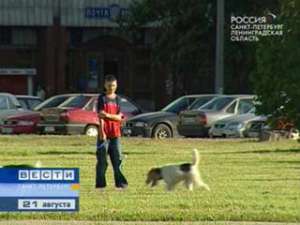 В Петербурге за нарушение правил выгула собак будут штрафовать. Фото: Вести.Ru