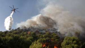 Лесные пожары в Греции. Фото: РИА Новости