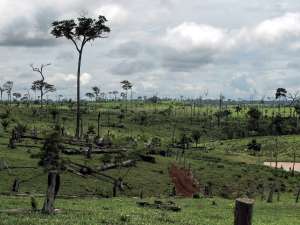 Вырубленные тропические леса в Бразилии. Фото: http://elementy.ru