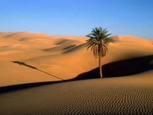 Сахара. Фото: http://photoland.ru