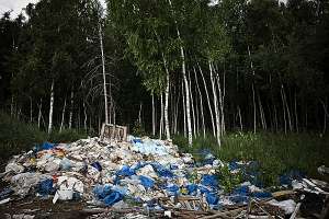 Свалка отходов в лесу. Архив: http://www.rusrep.ru