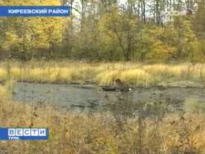 &quot;Нефтяные болота&quot; в Тульской области некому ликвидировать. Фото: Вести.Ru