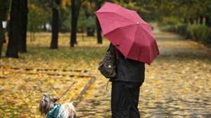 Воздух в Москве остается чистым благодаря дождю. Фото: РИА Новости