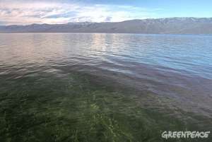 Байкал – самое чистое озеро в мире. Фото: Greenpeace