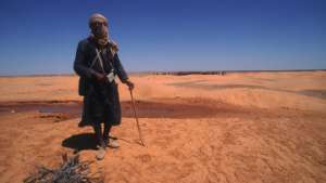 Мягкий климат помог первобытным людям впервые перейти через Сахару. Фото: РИА Новости