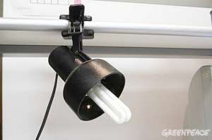 Энергосберегающие лампы потребляют в 4-5 раз меньше энергии, чем лампы накаливания. Фото: Greenpeace